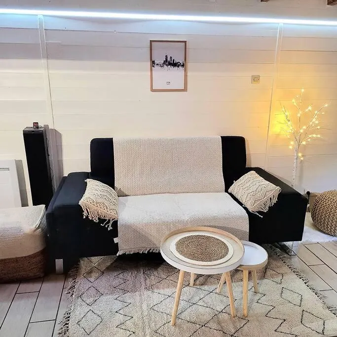 Apartment Appart Cosy 2 Ch Caluire Et Cuire Lyon